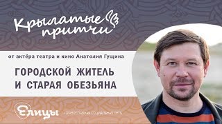 Городской житель и старая обезьяна - Анатолий Гущин - Крылатые притчи