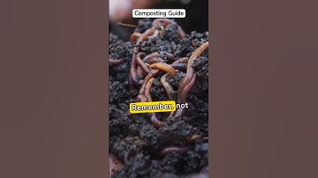 From Waste To Wonder- Composting 101