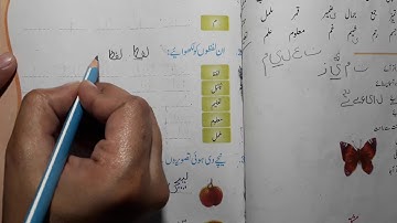 class 6 chapter 16 jaan pehchan with answer urdu ncert