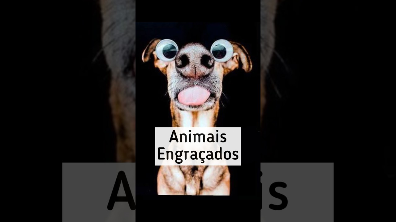 TENTE NÃO RIR - VIDEOS ENGRAÇADOS DE ANIMAIS 7 #shorts 