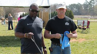 Don Matthews himself speaks on the black American Bulldogs