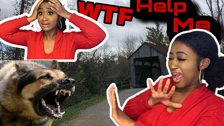 STORYTIME  | THE DOG ATE MY A** LIKE GROCERIES LIT...