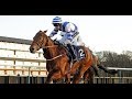 Horse racing tips Best bets and nap selections for ...