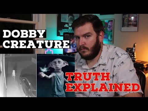 Dobby / Alien Creature In Driveway (Debunking)