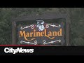 Marineland moving bears to Colorado animal sanctuary