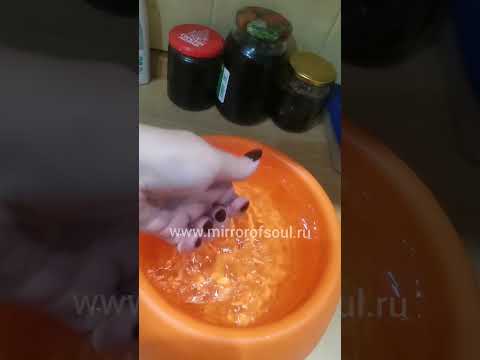 Ваша кошка не пьёт воду, что делать