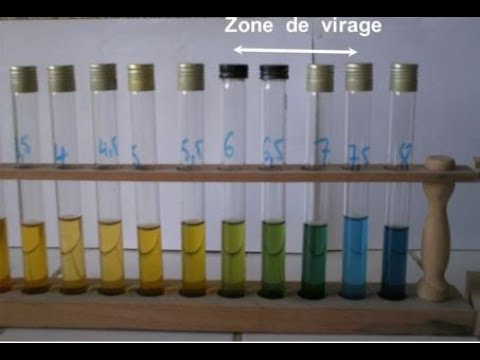Vidéo: Quelle longueur d'onde le bleu de bromophénol absorbe-t-il ?