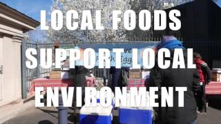 Eco DC-10 Ways to Go Green