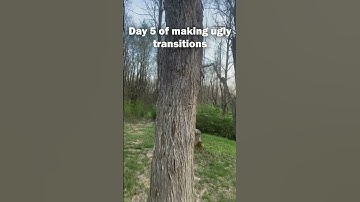 Day 5 of making ugly transitions #shorts #transition #edit #respect