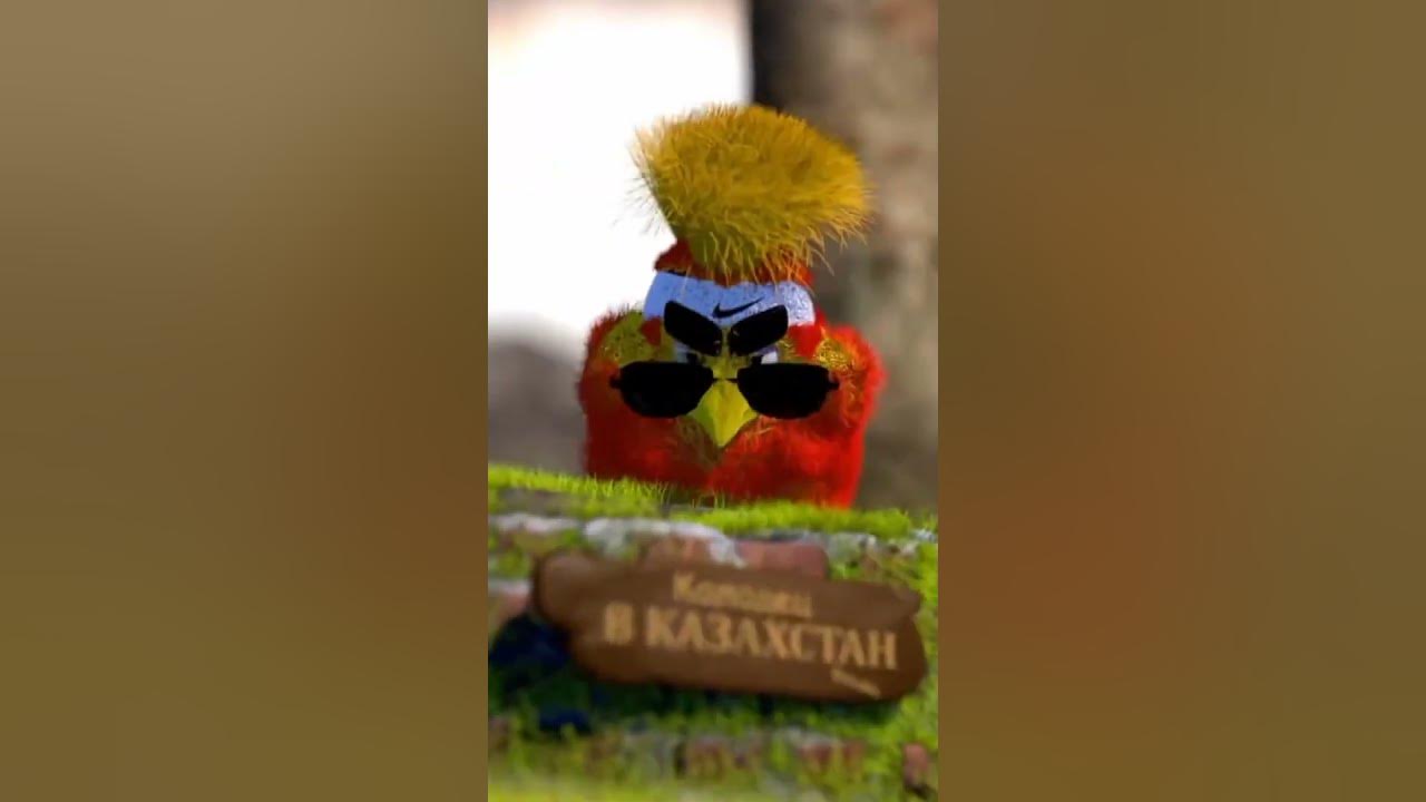 Мем с мохнатой собакой