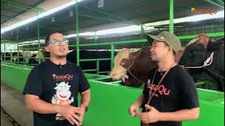 GAWAT !!!  Ini dia Cara Merawat Hewan Ternak, Agar  Hewan Ternak Kita Terhindar Dari Penyakit