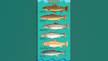 Common trout species #trout #entertainment #viral #fun #fish