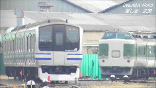 E217系Y-105&Y-107編成 廃車置き場に！Y44編成解体場に！全車留置される。2021.1.22 JR長野総合車両センター　　panasd 2153