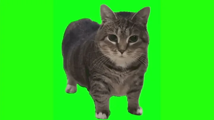 Green Screen Spinning Cat Meme | OIIAIOIIIAI Meme