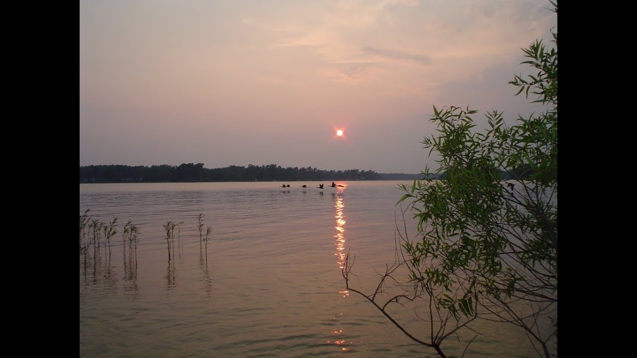 Lake Land for Sale, Cheap Land for Sale YouTube