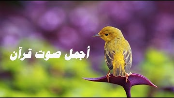 أجمل صوت قرآن مؤثر فى الدنيا يحرك القلوب ويبكي العيون💜🎧 | سورة المؤمنون القارئ عبدالله موسى |2021|.