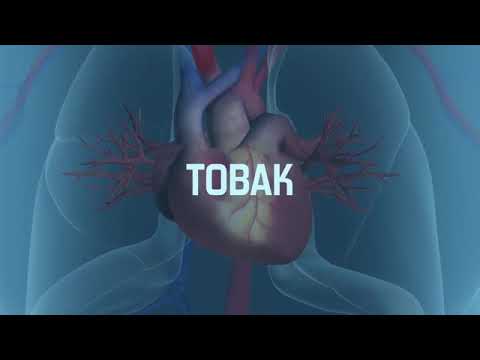Video: Graviditetssårens Sværhedsgrad Og Kønssundhed Livskvalitet I Behçets Sygdom