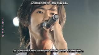 DBSK - WHY DID I'M FALLIN IN LOVE WITH YOU ( INDO SUB )