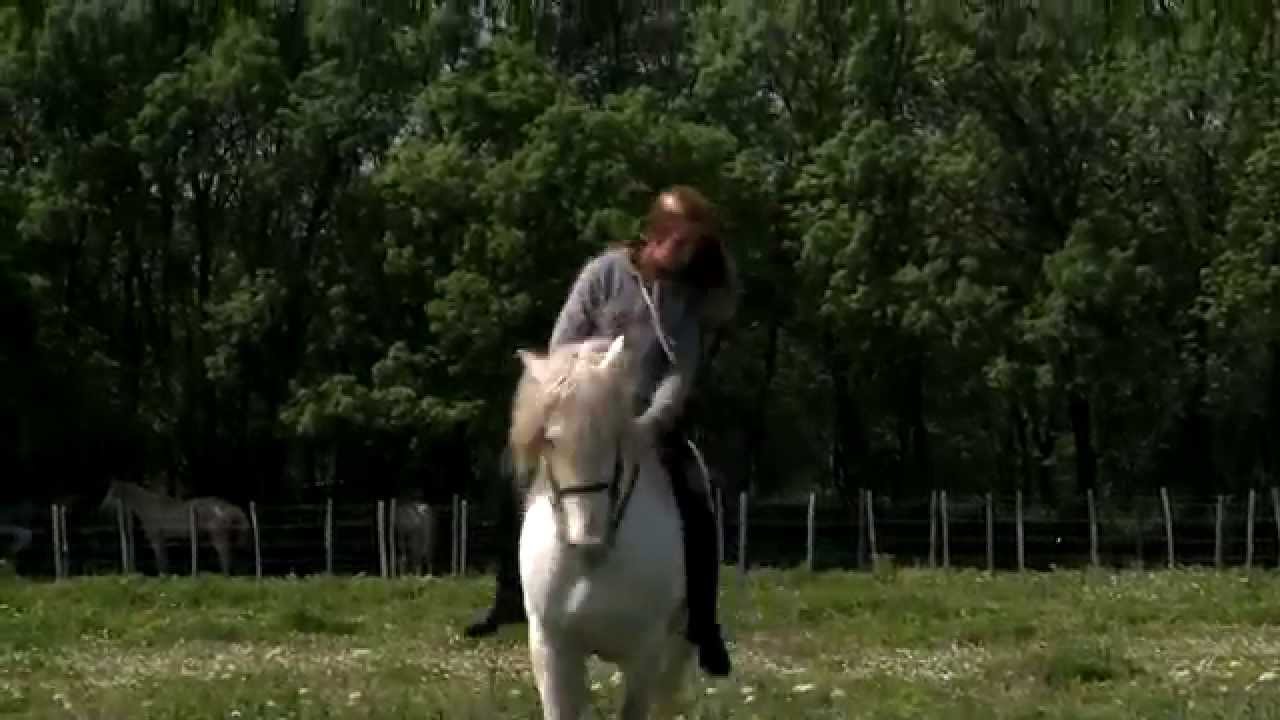 La petite fille qui murmure à l'oreille des chevaux - YouTube