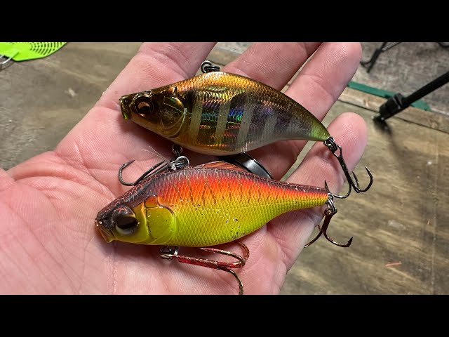 Lipless CrankbaitsThe Most Underrated Fall Fishing Lure Ever - YouTube