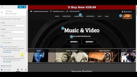 Music and Video WordPress Theme - Before Header