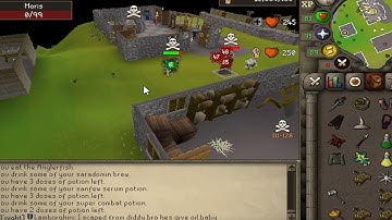 Imbued | Impact 9 (40b+ pk)