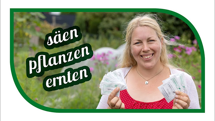 28 Gemüse die du im August säen und pflanzen kannst | Aussaat im August