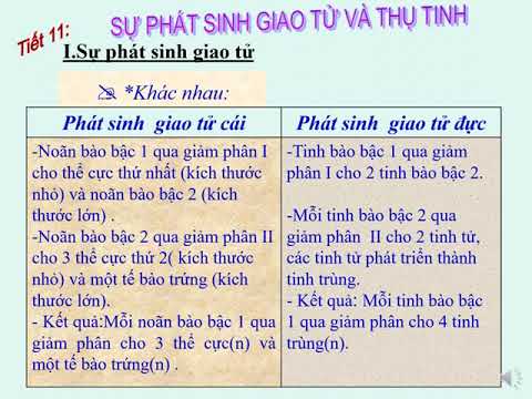 Sinh học 9 - Bài 11: Sự phát sinh giao tử và thụ tinh