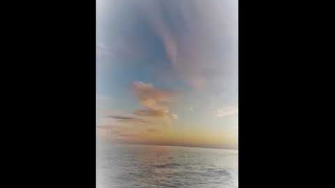 Thumbnail of Nathan and the Zydeco Cha Chas I'm In Love Cajun & Zydeco backwards