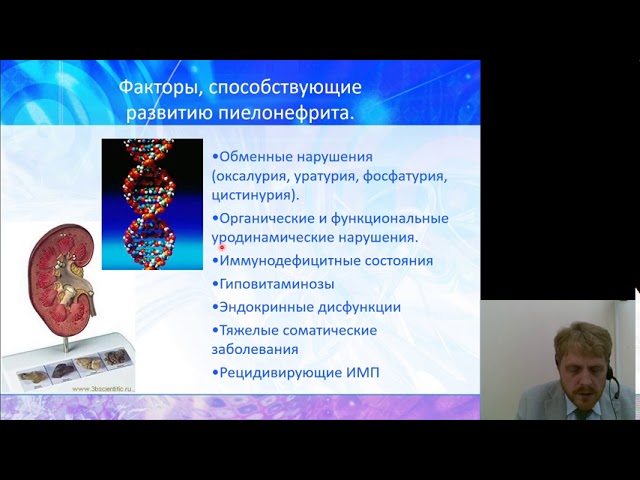 определение острого пиелонефрита определение острого пиелонефрита