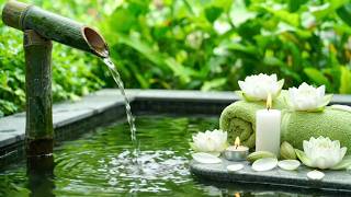 Flowing Bamboo Water + Gentle Piano Music Zen 24/7 自然の音とともに音楽をリラックス バンブーウォーターファウンテン【癒し音楽BGM】 screenshot 5