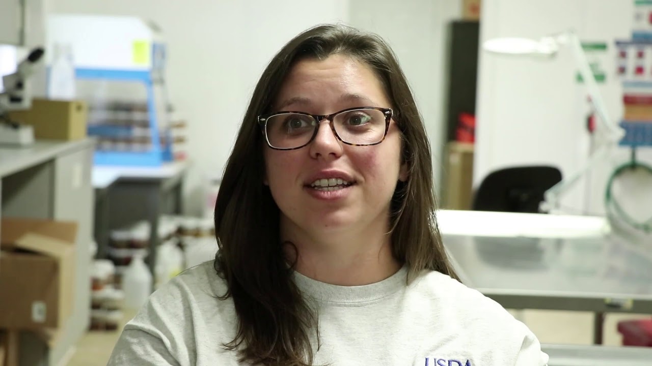 Careers at NWRC Biological Science Technician Mississippi YouTube