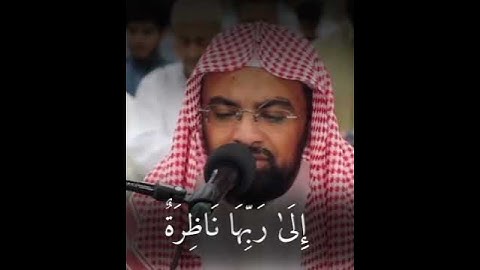 القارئ: ناصر القطامي 🍃  أرح سمعك 🥀حالات واتس آب ♻️https://t.me/halat1000