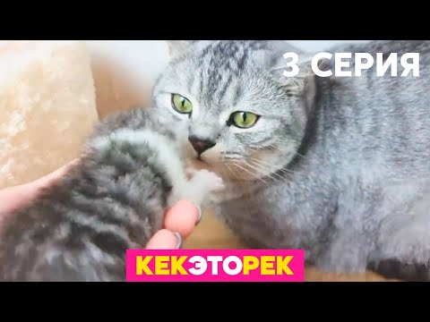Кек, это рек! | Выпуск 3