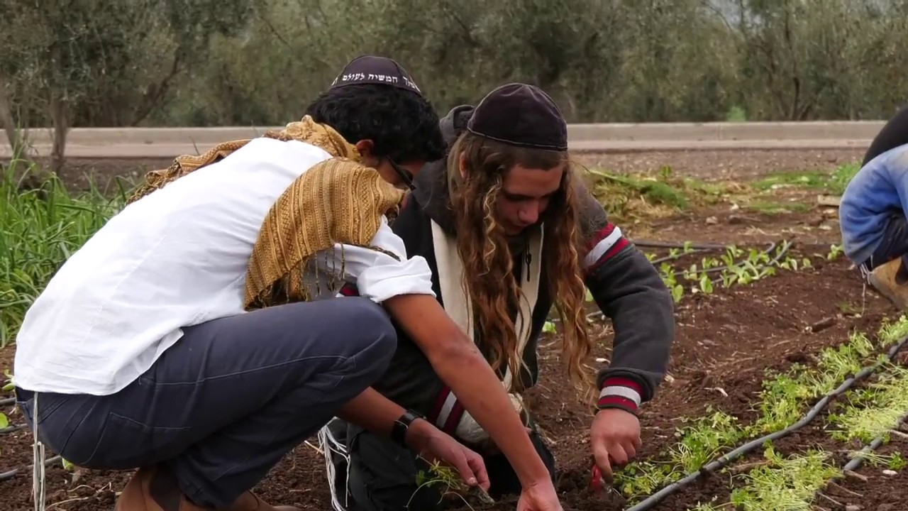 Yeshivat Kfar Zeitim 2018 ישיבת כפר זיתים