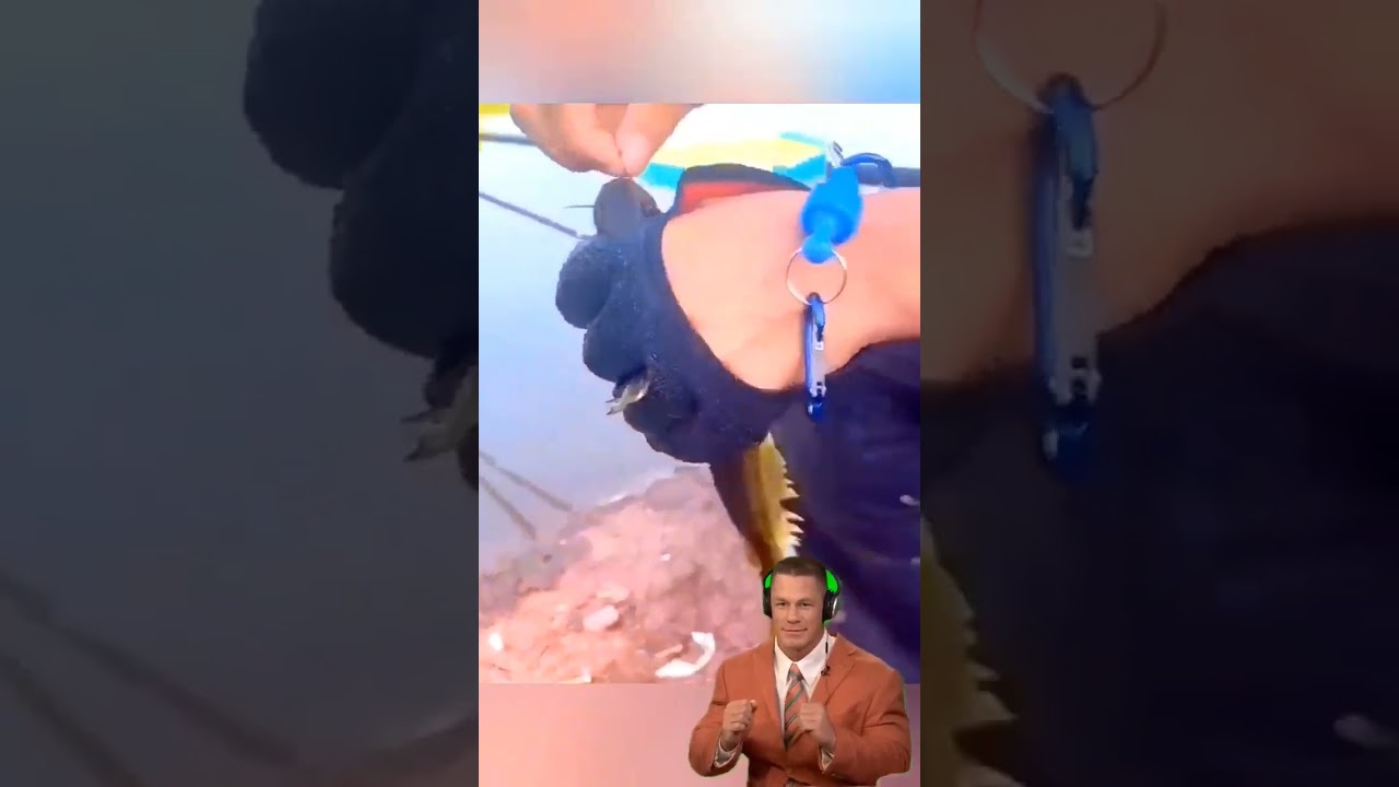 Coated fishing gloves best fishing gear and tools 