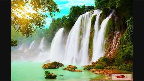 اجمل واعذب تلاوة خاشعة وهادئة تطمئن النفس وتريح القلب للشيخ ياسر الدوسري