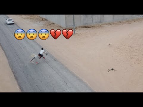 خيال سعودي يستعرض مهارات ركوب الخيل ٥ اكشن مع كلاب وكان بيطيح