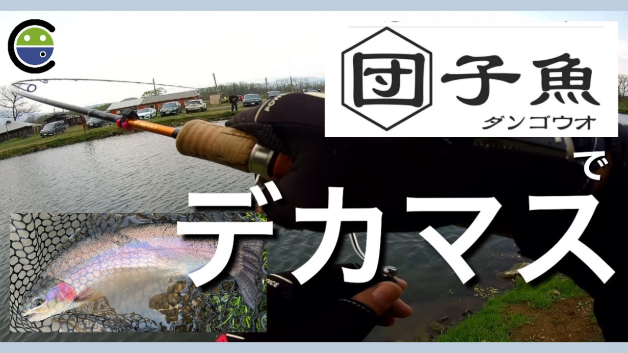 デカマス乱舞✨団子魚を試したらエライことになりました💦【エリアトラウト】【管理釣り場】【ユーランド清水川】