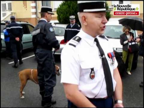 Houtch le chien de la gendarmerie médaillé pour son flair