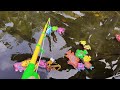 fishing many sea animal in fish ponds, angel fish, clown fish, shark, whales, dolphins - Part111