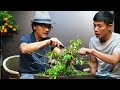 BÀI HỌC SỐ 2 của Thầy: Kinh Nghiệm Xương Máu Cắt Trừ Hao Để Cây Không Bị Tụt Mầm | Rần Hiền Lão Nông