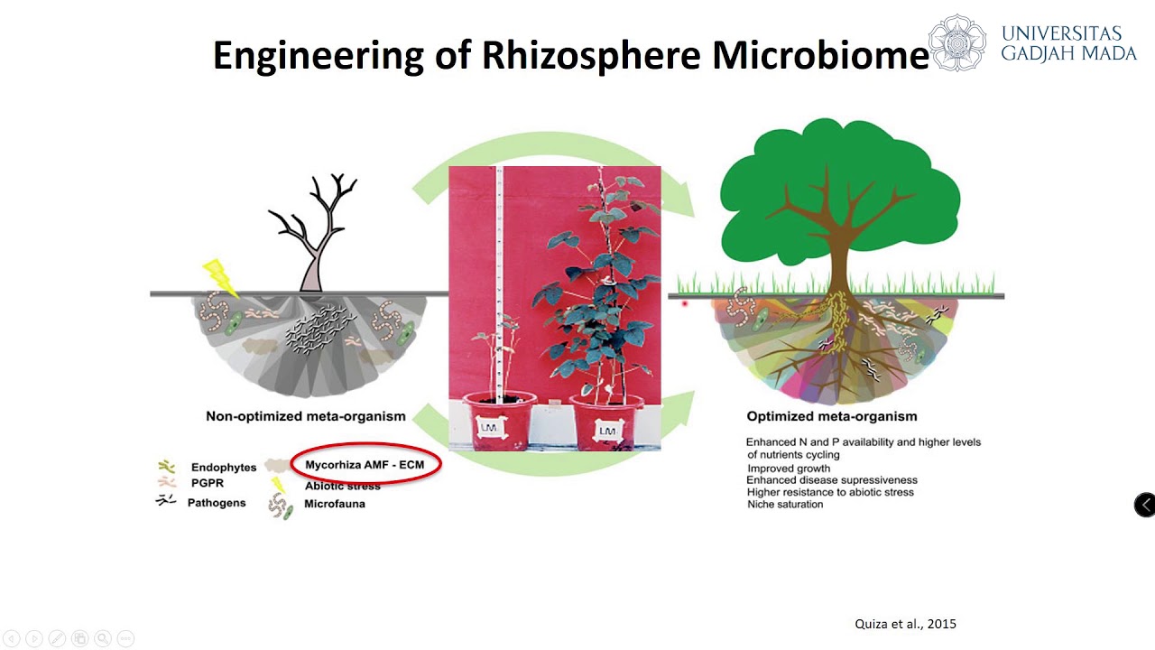 Kuliah Online Mikrobiologi Pertanian - Dr. Jaka Widada