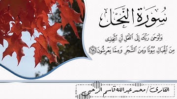 ما تيسر من سورة النحل القارئ /محمد الرحبي