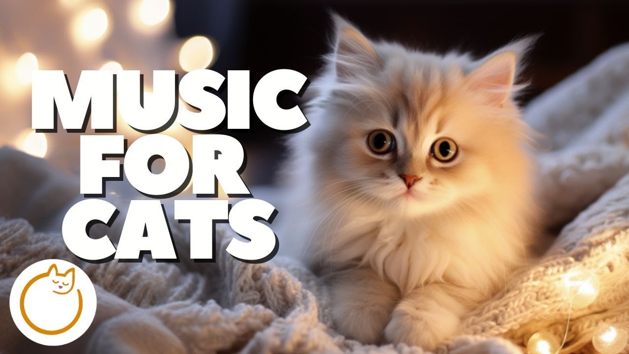 Curated visual reference: Instant Relaxation Methods For Anxious Cats Reference: Magic Music For Cats Instant Relaxation For Anxious Cats