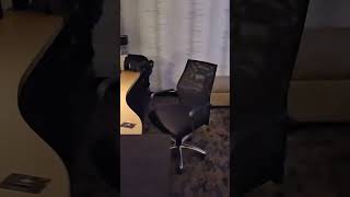 Casting to TV at Marriott hotels just got easier!  #chromecast #marriott