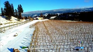 Wine war between B.C. wineries and Alberta liquor stores escalates