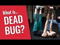 Dead Bug Core Exercises