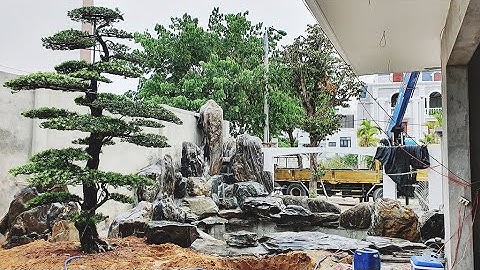 [demo] Thiết kế, thi công Cảnh quan sân vườn - Hồ cá Koi - Non Xanh Việt Landscape