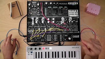 PHASER White Line Module DEMO / DREADBOX
